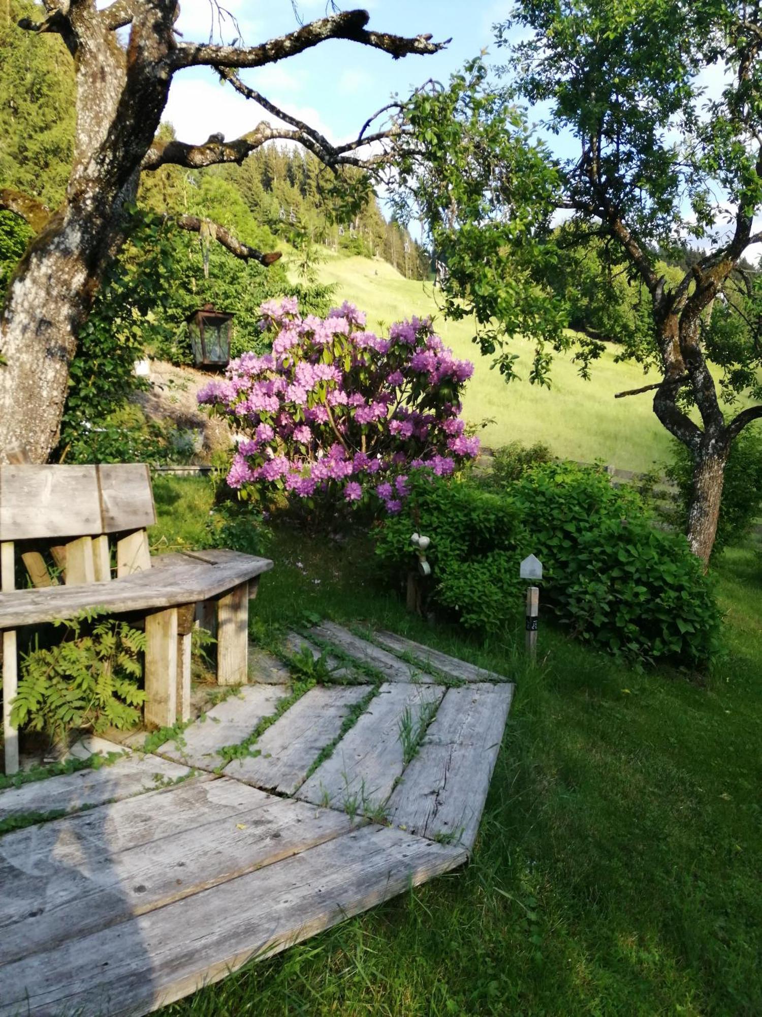 Appartement Ferienhof Ortnergut Eben Im Pongau Zewnętrze zdjęcie